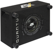 Subwoofer ESX QXB6 skrzynia basowa 250W RMS 2x2 Ohm (6)