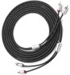 JL AUDIO XE-BLKAIC2-12 - przewód 2x RCA - 2x RCA (3,66m) (3)