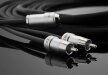 JL AUDIO XE-BLKAIC2-12 - przewód 2x RCA - 2x RCA (3,66m) (4)